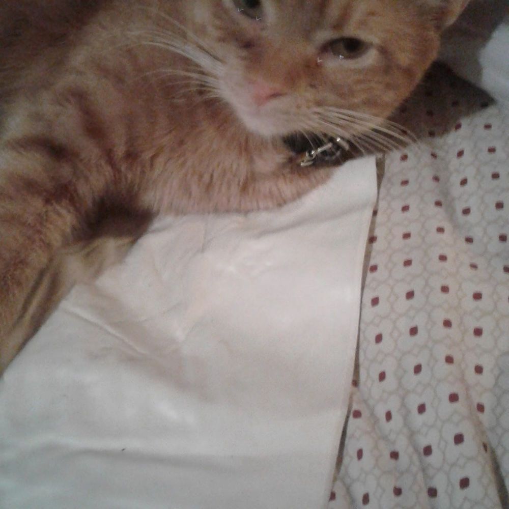 Meet your Posher, Kimberly